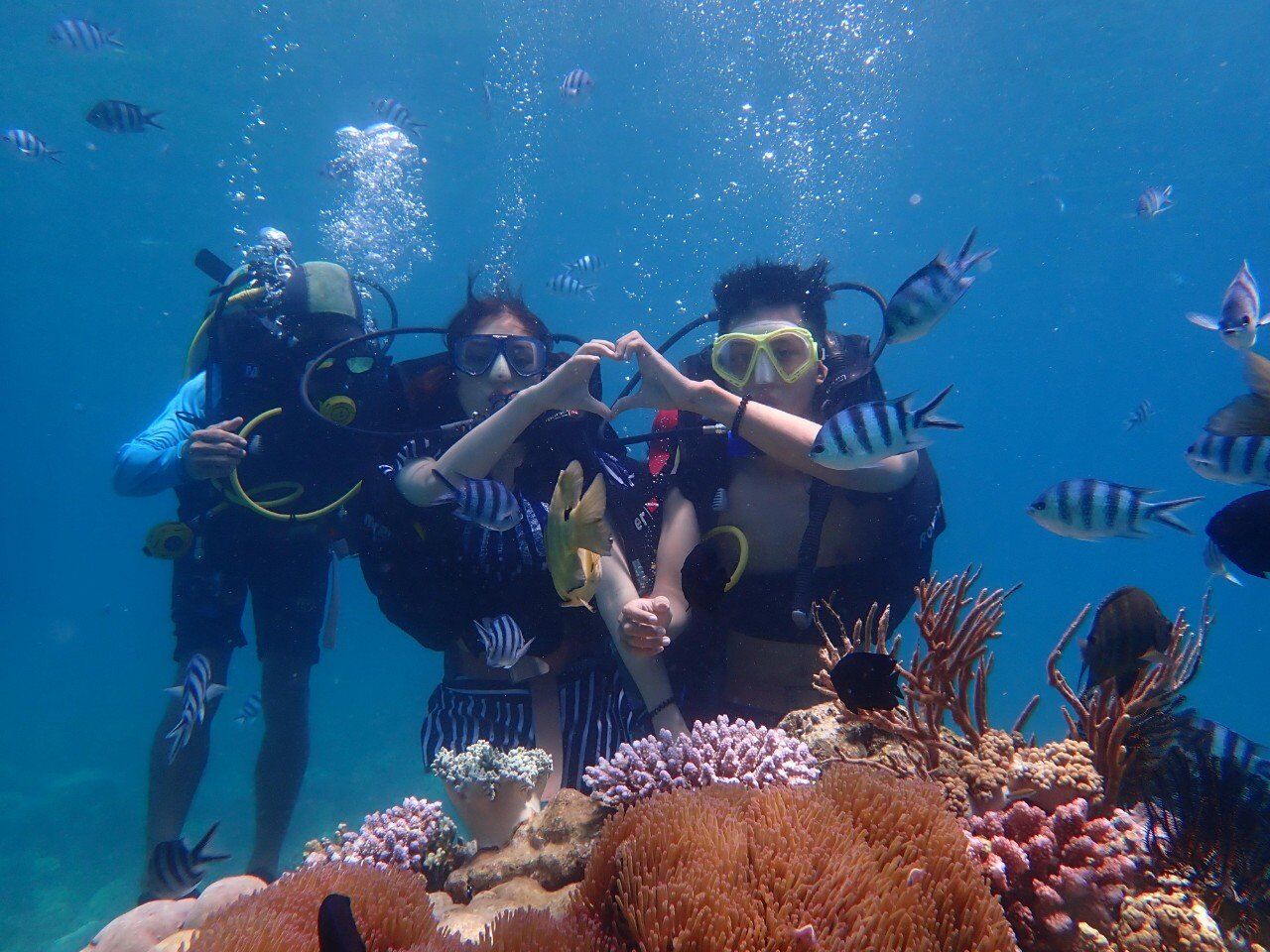 [베나자] 나트랑 스킨스쿠버 & 씨워커 투어 (식사, 픽업 & 샌딩 포함)