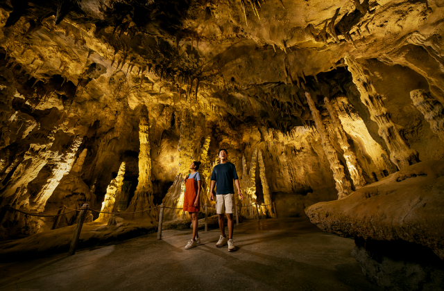 싱가포르 레인포레스트 와일드 아시아 입장권