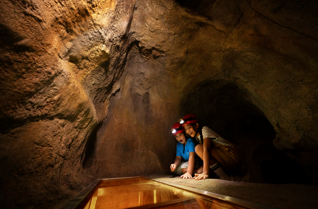 싱가포르 레인포레스트 와일드 아시아 입장권