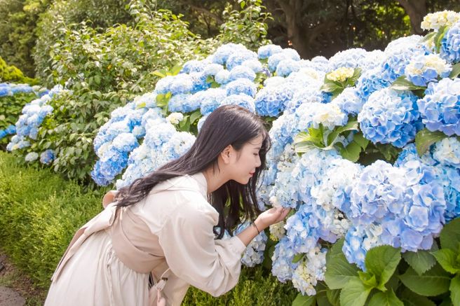 제주 서귀포 카멜리아힐 입장권