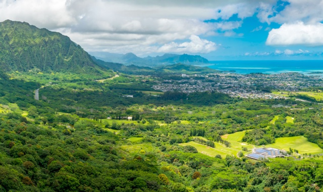 [단독투어] 하와이 팔리 전망대 + 할레이바 올드타운 + 폴리네시안민속촌/월마트 일일 투어 (한인 가이드 / 8시간)