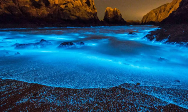 쿠알라룸푸르 반딧불 & 블루티어스 디스커버리 투어 (신형 VIP 밴 차량)