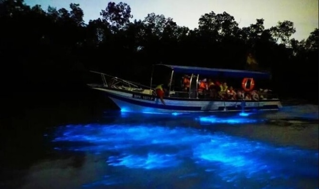 쿠알라룸푸르 반딧불 & 블루티어스 디스커버리 투어 (신형 VIP 밴 차량)