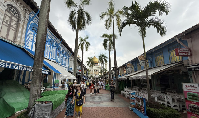 싱가포르 3색 매력: 차이나타운 & 리틀인디아 & 캄퐁글람 반나절 투어