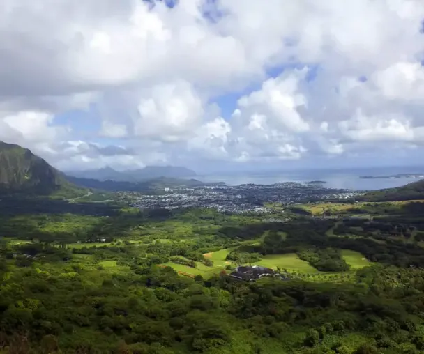 activity_detail_image