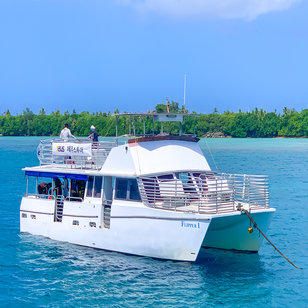 Guam Dolphin Cruise by Paradise Club