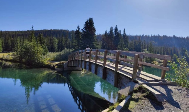 [당일투어] 캘거리/밴프/캔모어 출발: 로키 명소 & 밴프 곤돌라 혹은 온천을 만나는 프라이빗 투어