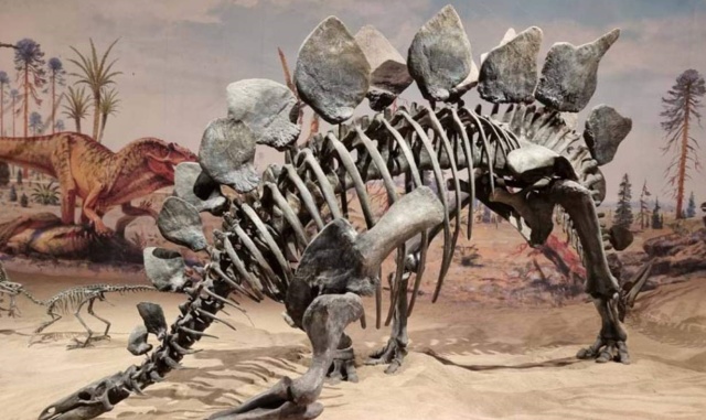 [당일투어] 캘거리 기묘한 바위 후두스와 공룡 박물관 그리고 흔들다리의 도시 드림헬러 단독 투어