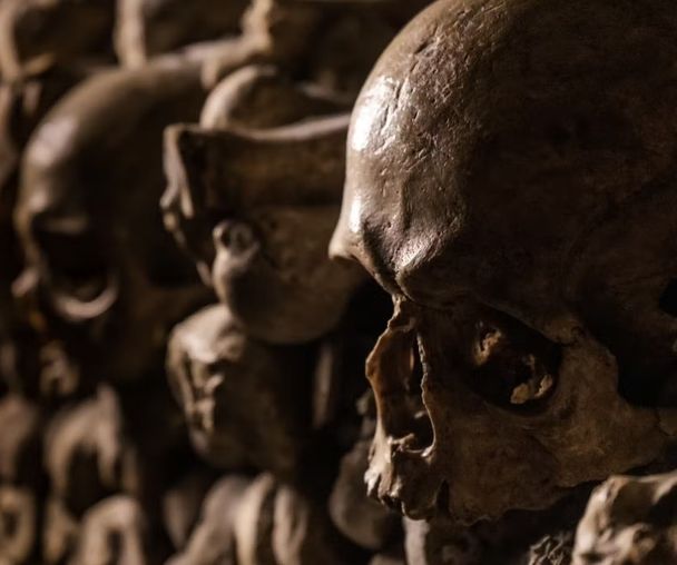 activity_detail_image