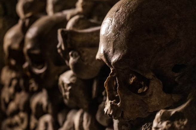 Paris Catacombs Ticket (Including Audio Guide)