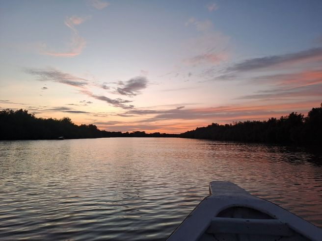 쿠알라룸푸르 반딧불 & 블루티어스 디스커버리 투어 (신형 VIP 밴 차량)