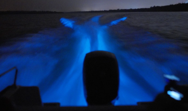 쿠알라룸푸르 푸트라자야 반딧불 & 블루티어스 투어 (신형 VIP 밴 차량)