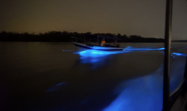 쿠알라룸푸르 푸트라자야 반딧불 & 블루티어스 투어 (신형 VIP 밴 차량)