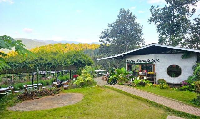 치앙마이 반캉왓 + 엘레핀 팜 & 카페 단독 투어 (한국어 가이드 포함)