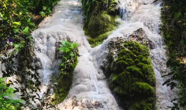 치앙마이 부아텅 폭포 & 단테와다 자연 투어