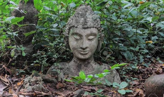 [왓우몽, 왓파랏, No.39 cafe, 픽업 & 샌딩포함] 치앙마이 도이수텝 야경 투어