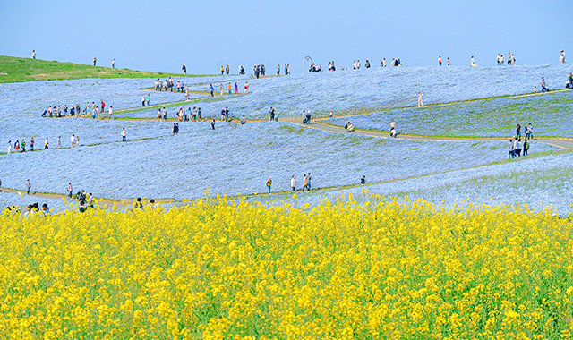 activity_detail_image