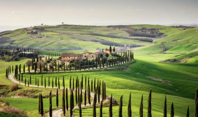 [여행일기] 토스카나에서 환상의 인생샷! 피렌체 출발 토스카나, 와이너리 선택 투어