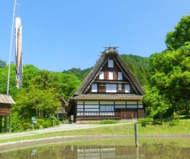 activity_detail_image