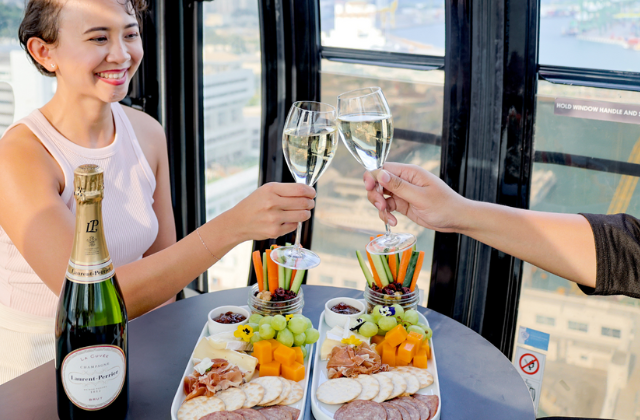 싱가포르 케이블카 스카이 다이닝