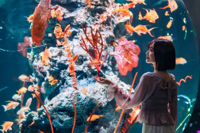 Kobe ATOA Aquarium Admission Ticket + City Loop Bus 1-Day Pass