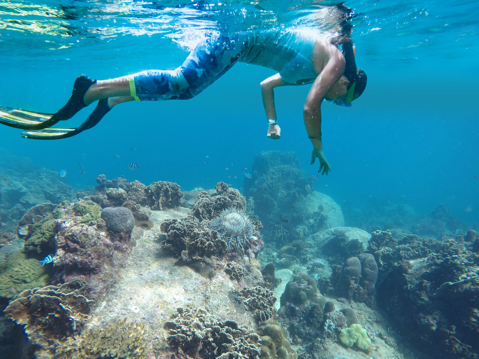[푸꾸옥고스트] 어메이징 3섬 호핑투어 (몽타이섬, 감기섬, 메이룻섬)