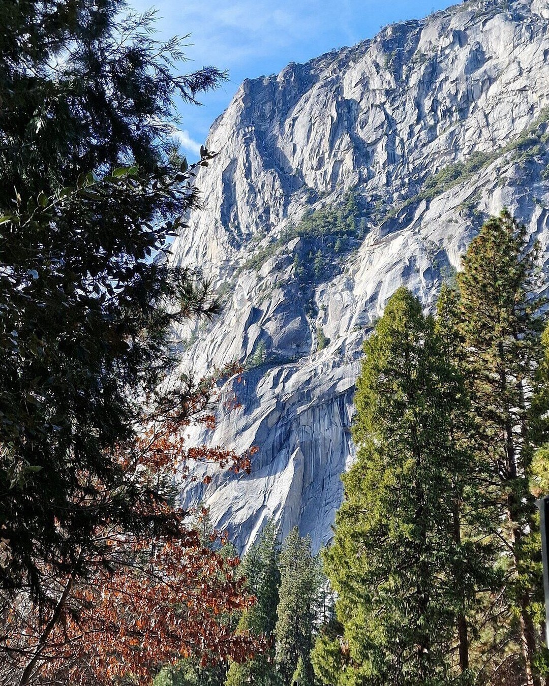 Monterey & Carmel Coastal Towns Day Trip from San Francisco (WAUG Exclusive)