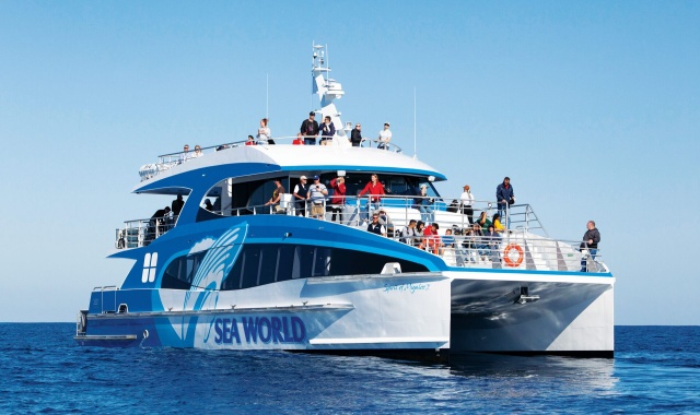 Gold Coast Whale Watching Cruise Tour