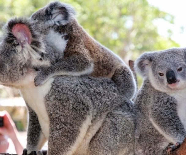 activity_detail_image