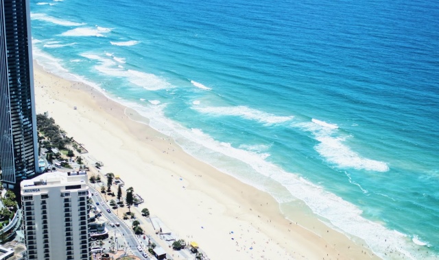 골드코스트 풀코스 데이투어 with 커럼빈 동물원