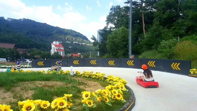 강원 평창 모나용평리조트 루지 이용권