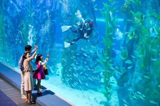 Lotte World Aquarium Ticket in Jamsil, Seoul