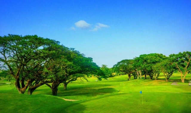 클락 미모사 컨트리 클럽 - 18홀 그린피