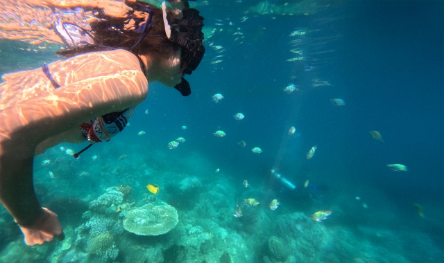 나트랑 YOLO 욜로 호핑 스노클링 어드벤처 & 선상 BBQ 런치 투어