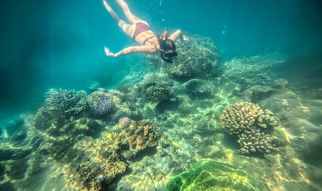 나트랑 YOLO 욜로 호핑 스노클링 어드벤처 & 선상 BBQ 런치 투어