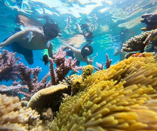 activity_detail_image