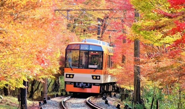 [QR 승차권] 교토, 오사카 게이한 디지털 패스 1일권 (구라마 & 기부네)