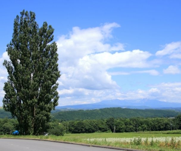 activity_detail_image