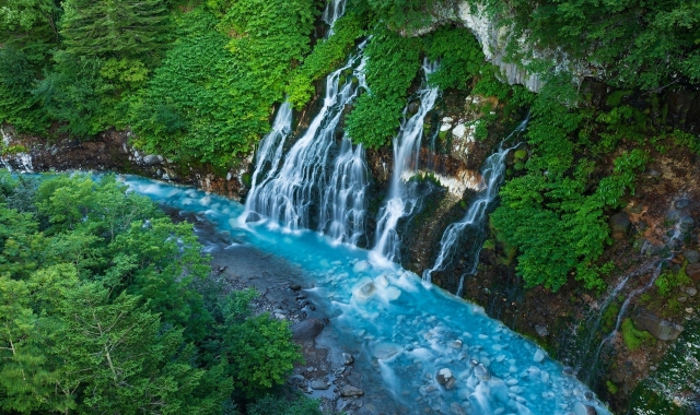 [쿠루쿠루버스] 삿포로 출발: 비에이 & 후라노 일일 투어