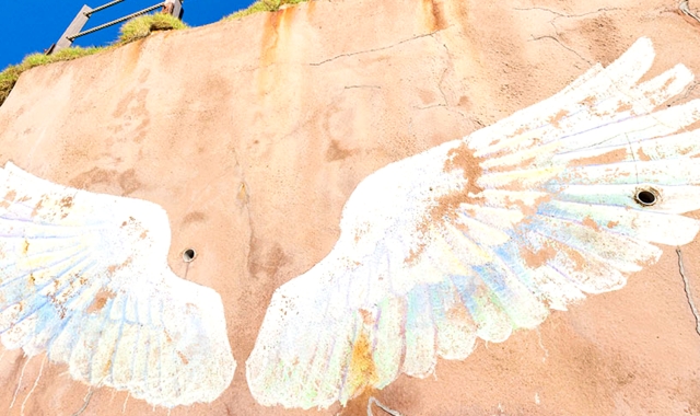 후쿠오카 하카타역 출발: 이토시마 반일 투어 (오전 / 오후 투어)