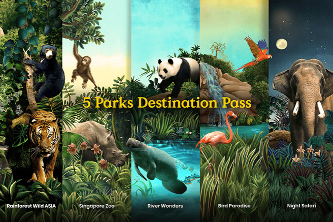 Mandai Multi-Park Destination Pass: Night Safari, Singapore Zoo, River Wonders, Bird Paradise, & Rainforest Wild ASIA