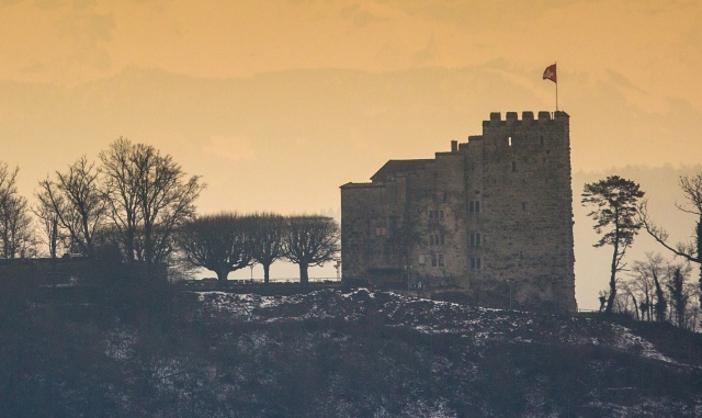 [마이 퍼스트 가이드] 비엔나 귀족과 예술의 도시, 비엔나 시티 투어