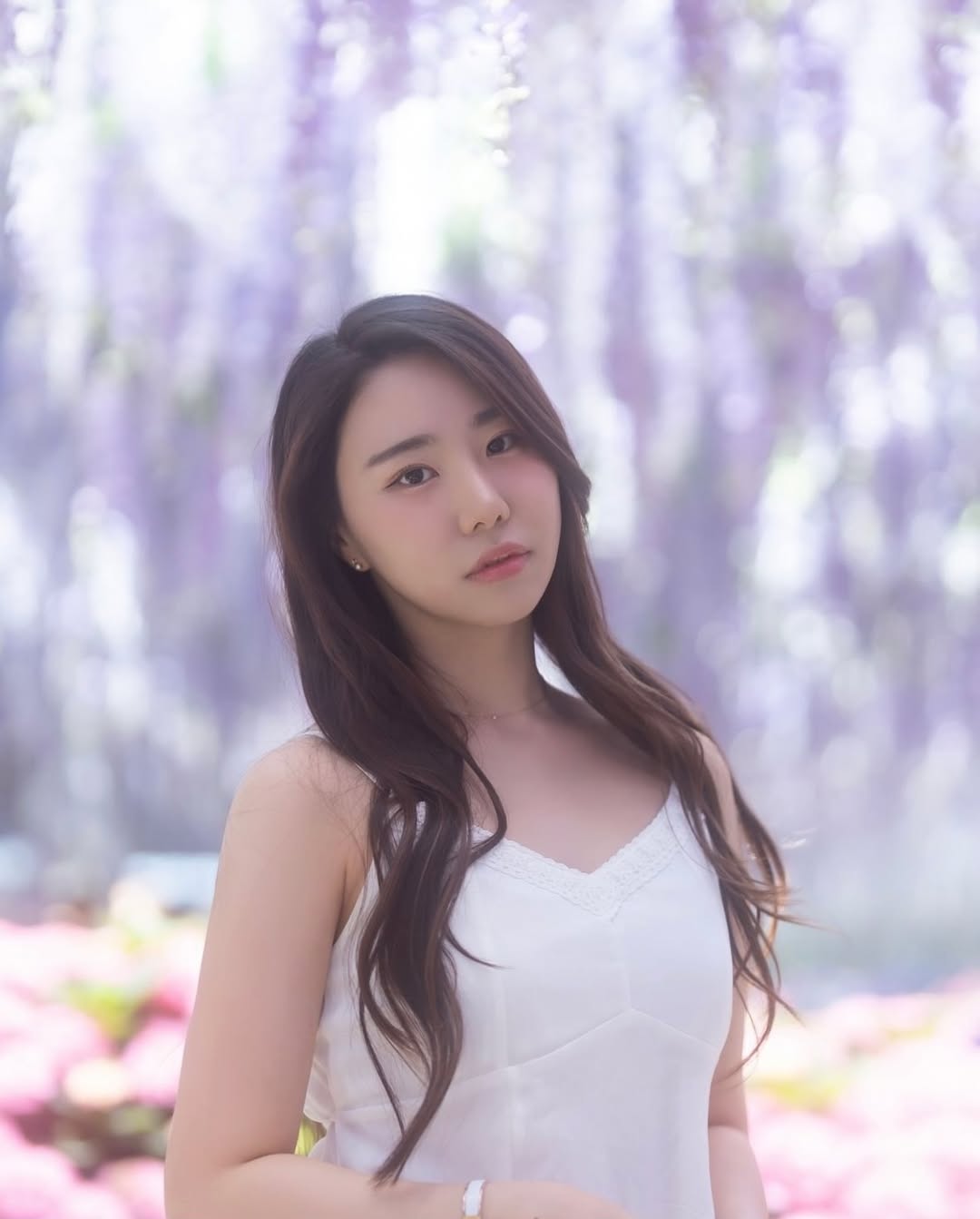 경기 가평 베고니아새정원 입장권