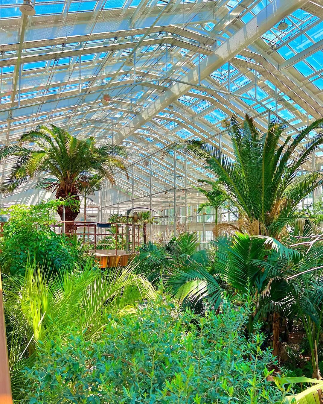 경기 가평 베고니아새정원 입장권