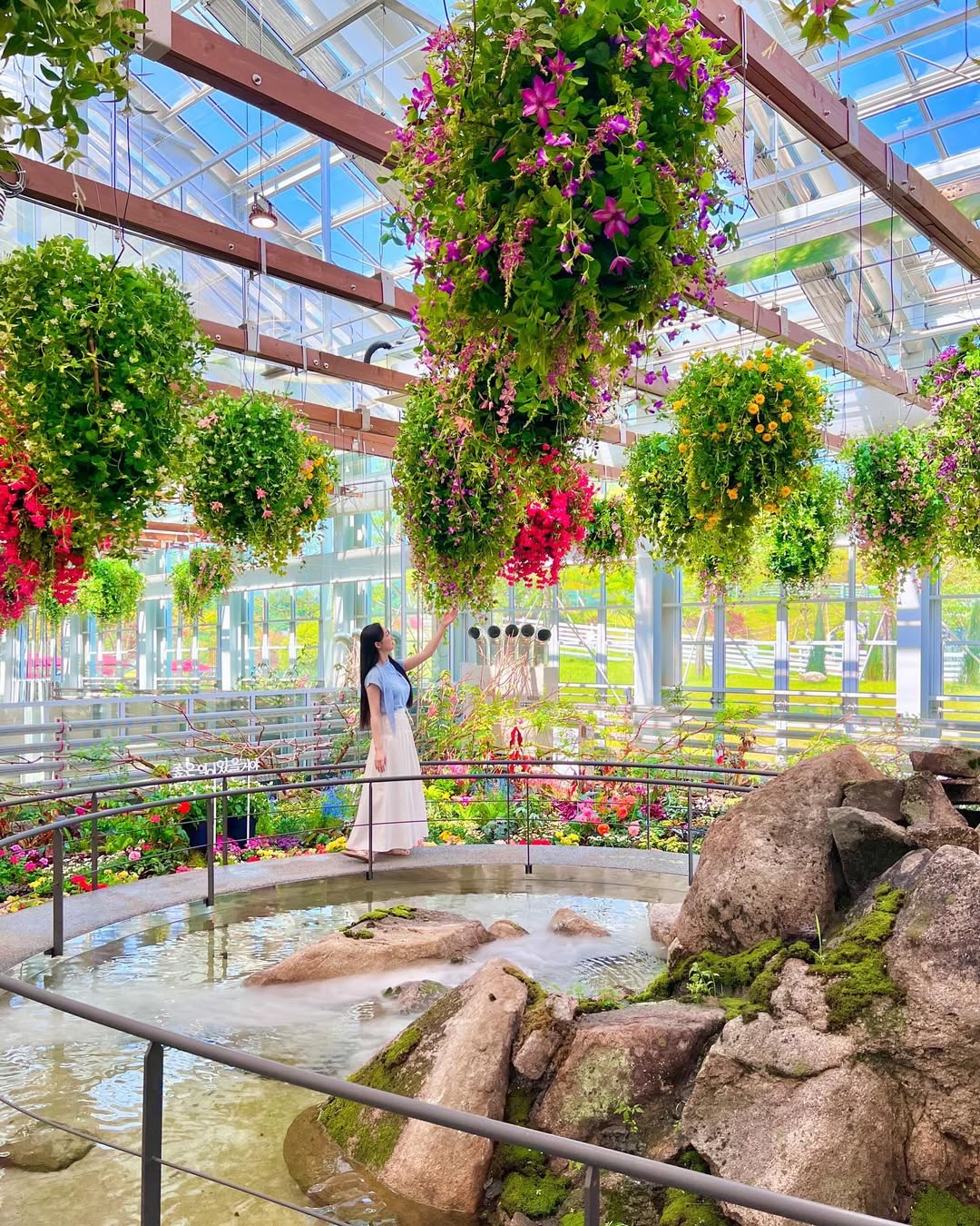 경기 가평 베고니아새정원 입장권