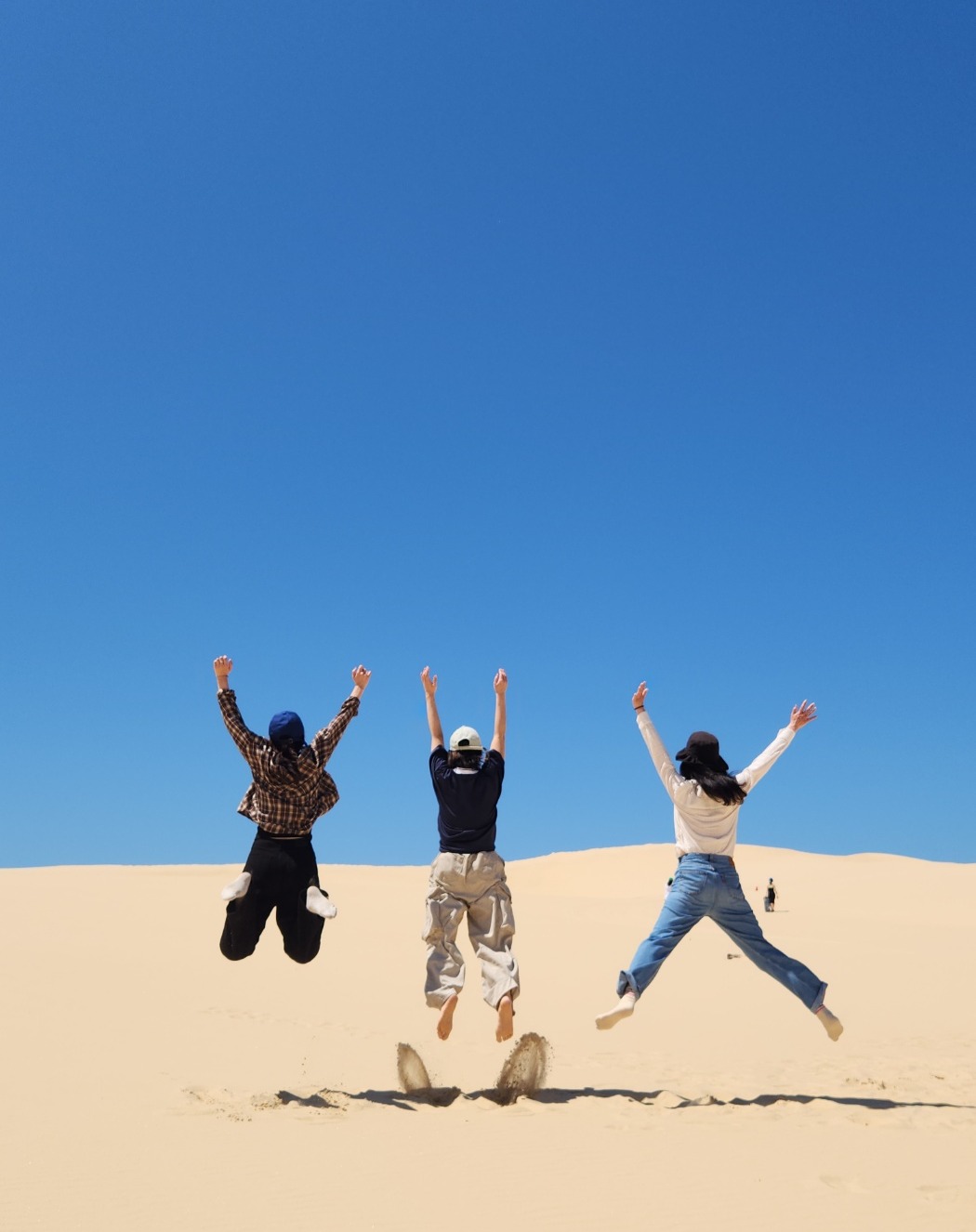 [호주무한투어] 스포츠스타 인증! 포트스테판 - 오크베일 / 크루즈 / 모래썰매 / 와이너리 투어