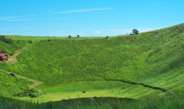 Tokyo: Izu Omuro Mountain and Jogasaki Coast Day Tour