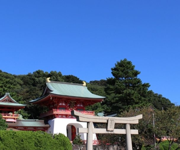 activity_detail_image