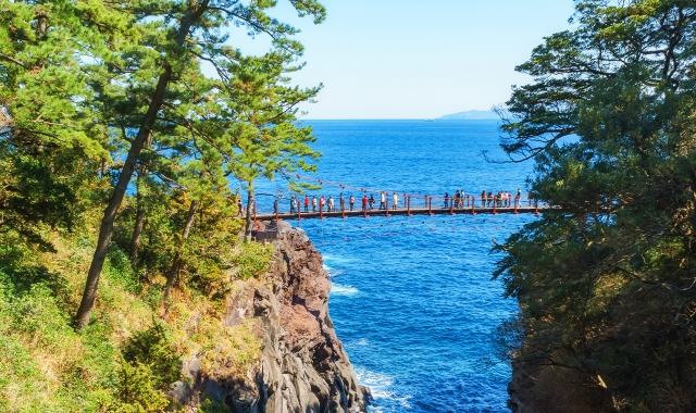 Tokyo: Izu Omuro Mountain and Jogasaki Coast Day Tour