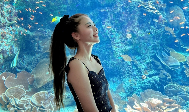 [유투어버스] 오키나와 북부 일일 버스투어 (츄라우미 수족관 입장권 포함)